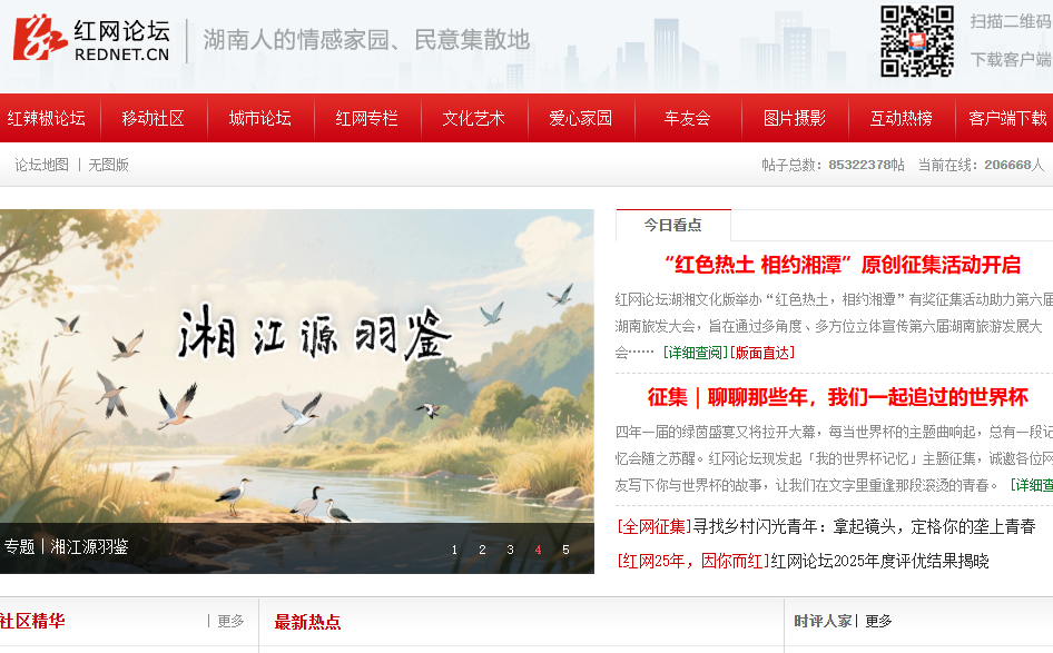 红网论坛
